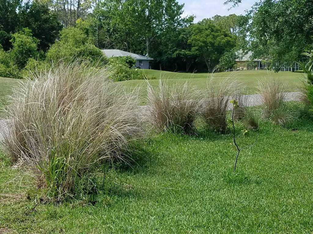 Pine Lakes Golf Club | restaurant | 400 Pine Lakes Pkwy, Palm Coast, FL 32164, USA | 3864450852 OR +1 386-445-0852