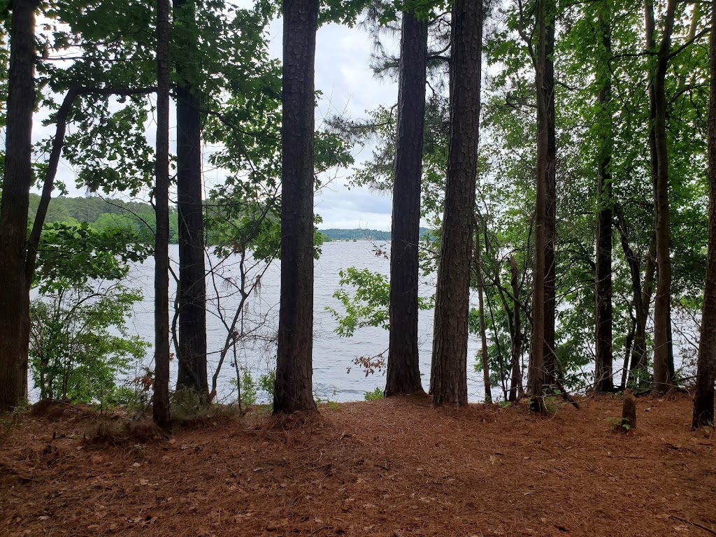 Tale Chasers Outdoor Products | meal takeaway | 24142 LA-191, Zwolle, LA 71486, USA | 3373687765 OR +1 337-368-7765