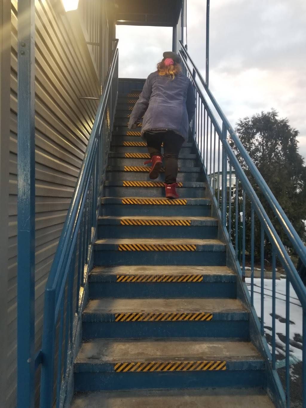 Marina Di Calabria | restaurant | 290 Drake Ave, New Rochelle, NY 10805, USA | 9142355252 OR +1 914-235-5252