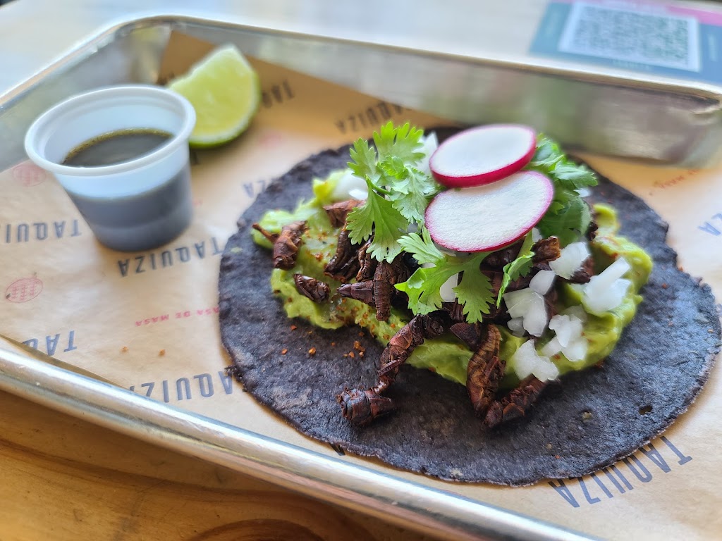 Taquiza | restaurant | 1351 Collins Ave, Miami Beach, FL 33139, USA | 3052032197 OR +1 305-203-2197