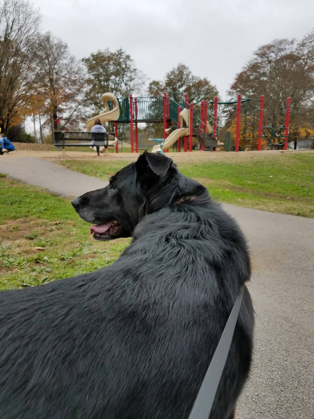 Sandy Springs Park | meal takeaway | 702 Best St, Maryville, TN 37803, USA | 8659839244 OR +1 865-983-9244