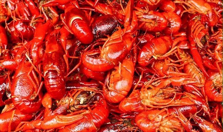 Five Mile Food Truck Park | restaurant | 6150 TX-16, Pipe Creek, TX 78063, USA | 8307967456 OR +1 830-796-7456