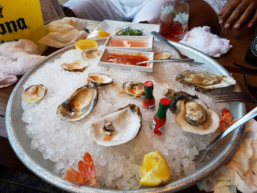 Rock Bar | night club | 219 S Fort Lauderdale Beach Blvd, Fort Lauderdale, FL 33316, USA | 9545331568 OR +1 954-533-1568