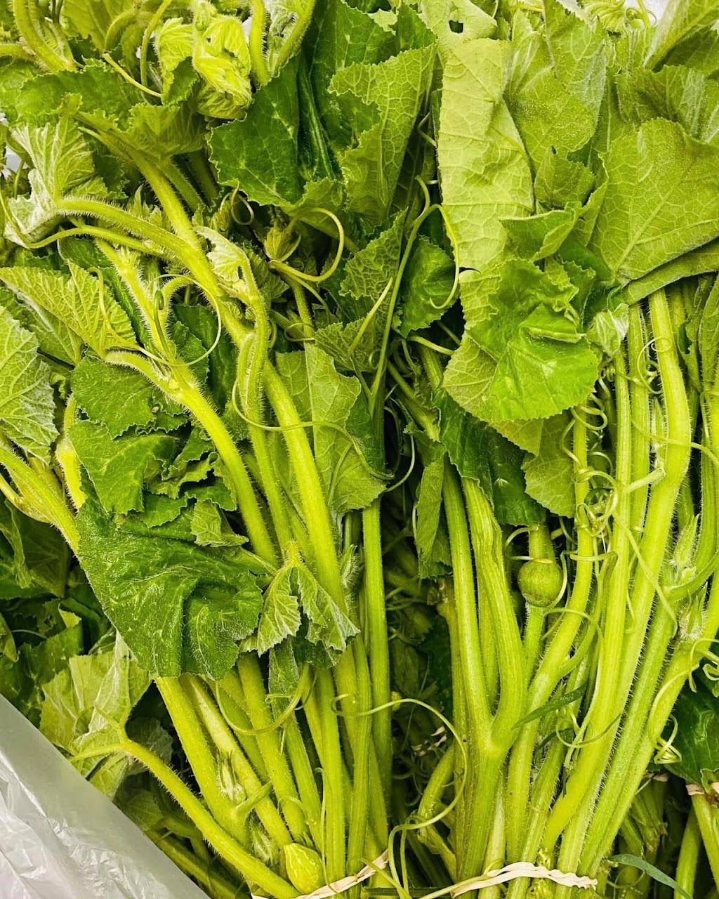 Chhapra 365 - Nepali & Indian Grocery | restaurant | 469 E North St, Carlisle, PA 17013, USA | 7174225096 OR +1 717-422-5096