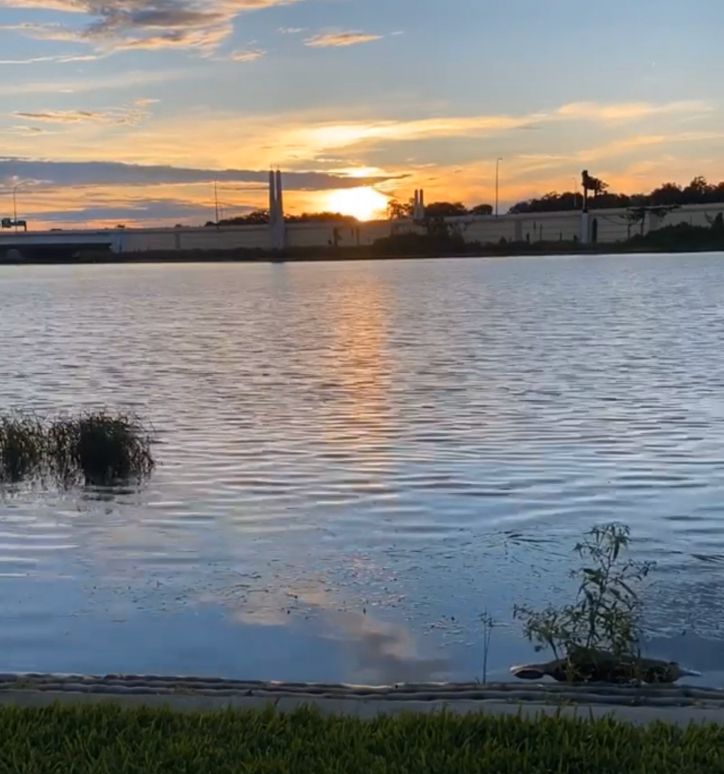 Russells on Lake Ivanhoe | restaurant | 1414 N Orange Ave, Orlando, FL 32804, USA | 4076013508 OR +1 407-601-3508