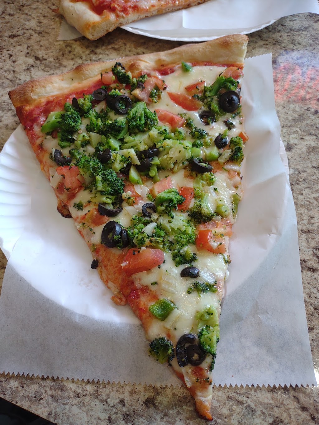 Primavera Pizzeria | restaurant | 761 Morris Park Ave, Bronx, NY 10462, USA | 7184099303 OR +1 718-409-9303