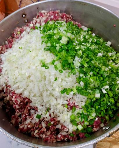 Catskill Momos | restaurant | 191 Main St, Delhi, NY 13753, USA | 6077462233 OR +1 607-746-2233