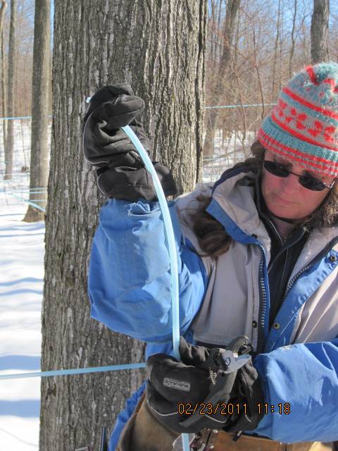 Uncle Richards Maple Syrup & Products | restaurant | 493168 Glenelg Sideroad 49 #1, Priceville, ON N0C 1K0, Canada | 5193693056 OR +1 519-369-3056