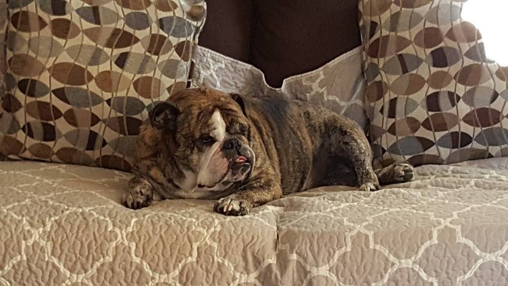 The Andrea | restaurant | 89 Atlantic Ave, Westerly, RI 02891, USA | 4013488788 OR +1 401-348-8788