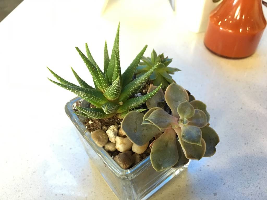 Cafe Vida - South Bay | restaurant | 2250 Park Pl, El Segundo, CA 90245, USA | 3106436205 OR +1 310-643-6205