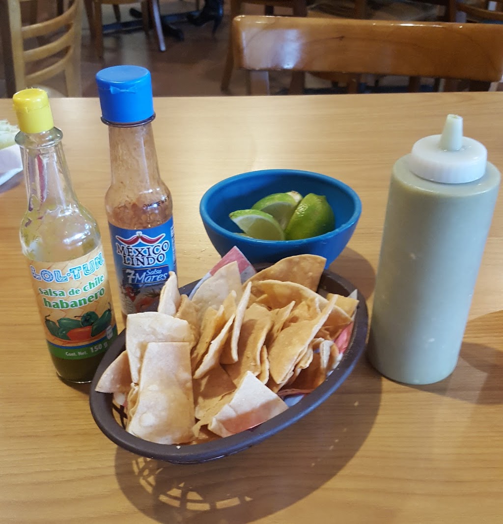 El Terco Seafood | restaurant | 1001 S 10th St, McAllen, TX 78501, USA | 9566861933 OR +1 956-686-1933