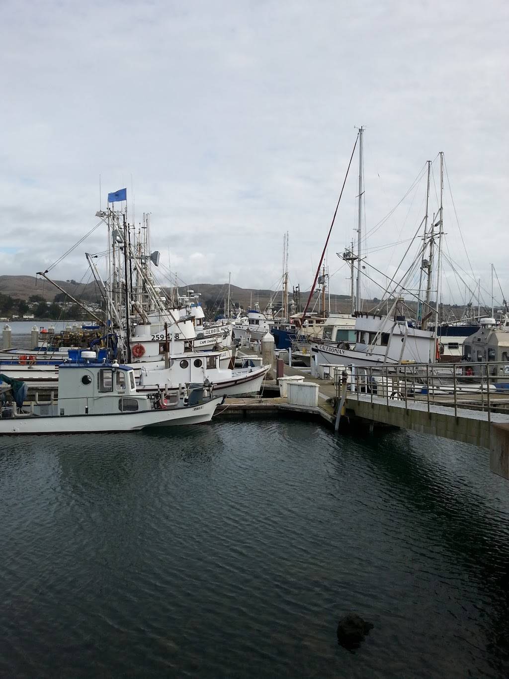 Litchfields at Sonoma Coast Villa | restaurant | 16702 Shoreline Hwy, Bodega, CA 94922, USA | 7078769812 OR +1 707-876-9812