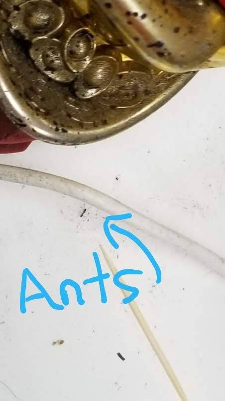 Ma Noodle House | restaurant | 3108 East Plaza Boulevard, National City, CA 91950, USA | 6194704518 OR +1 619-470-4518