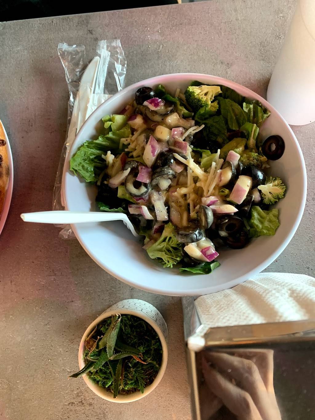 1000 Degrees Pizza Salad Wings of Heathrow | restaurant | 1109 International Pkwy Suite 1601, Lake Mary, FL 32746, USA | 4073330722 OR +1 407-333-0722