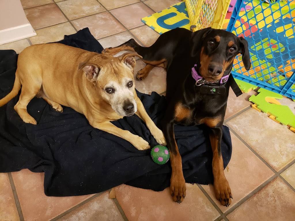 Red Bowl Chinese Restaurant | restaurant | 28500 Miles Rd, Solon, OH 44139, USA | 4407030777 OR +1 440-703-0777