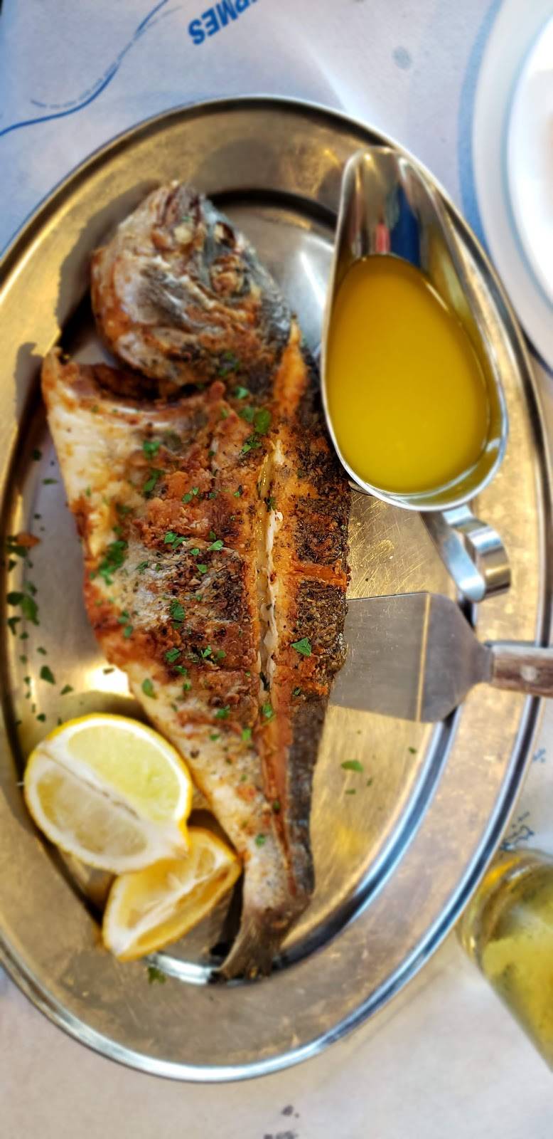 Stamna Greek Taverna | restaurant | 66 E Main St, Little Falls, NJ 07424, USA | 9732566400 OR +1 973-256-6400