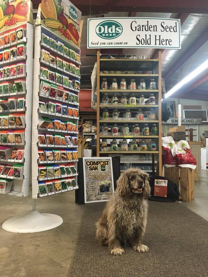 Family Natural Foods | restaurant | 910 W Grand Ave, Wisconsin Rapids, WI 54495, USA | 7154233120 OR +1 715-423-3120