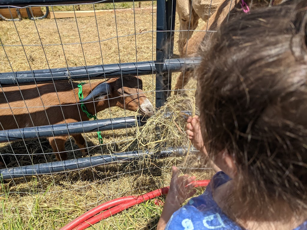 Lazy Breeze Farm and The Burger Buggy | restaurant | 155 Burnham Rd, Waltham, VT 05491, USA | 8027714685 OR +1 802-771-4685
