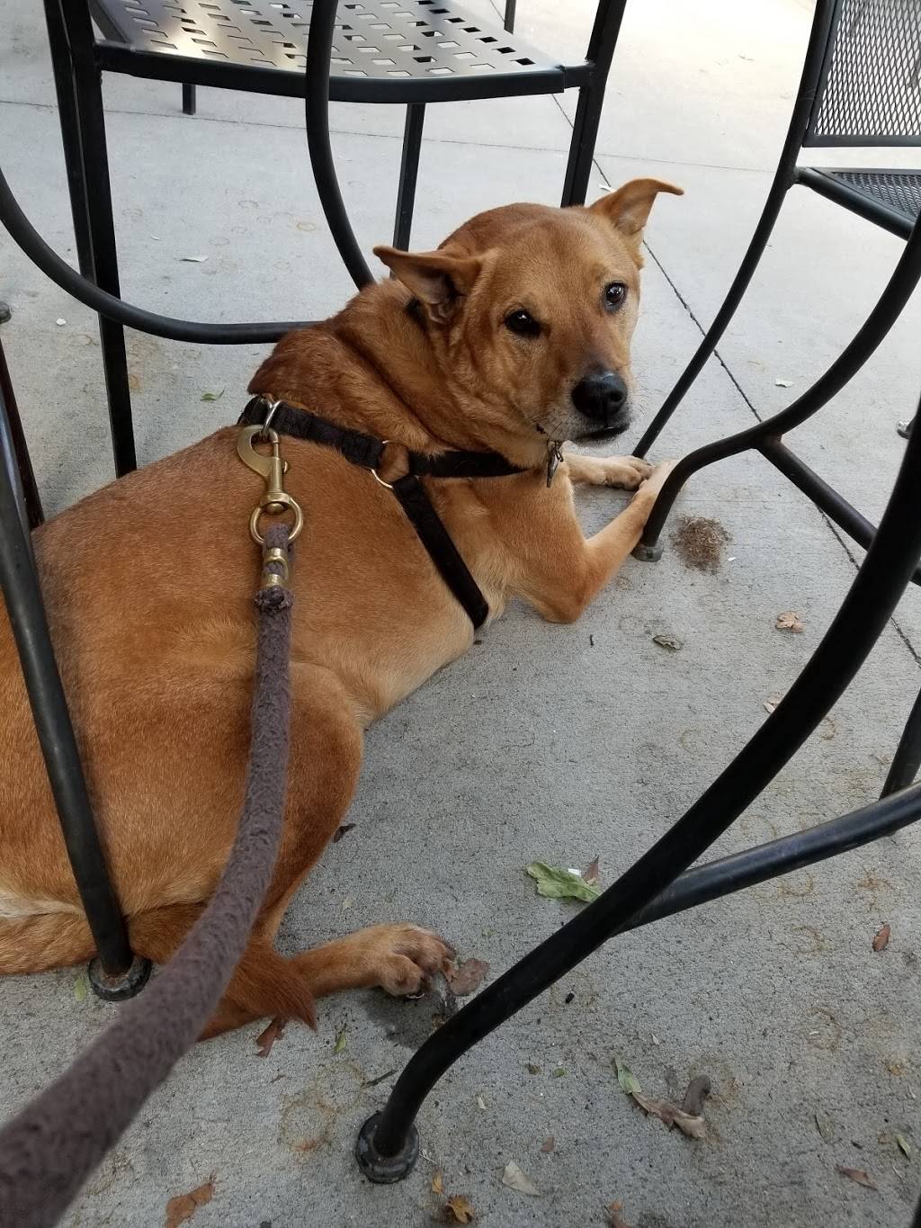 RPM Full Service Patio Pub & Grill | restaurant | 15 Jackson St, Newnan, GA 30263, USA | 7706831414 OR +1 770-683-1414