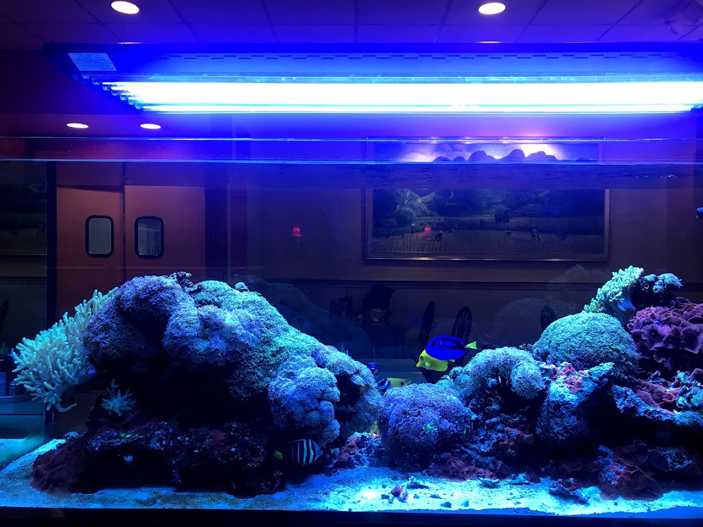 Little Saigon | restaurant | 1106 E Colonial Dr, Orlando, FL 32803, USA | 4074238539 OR +1 407-423-8539