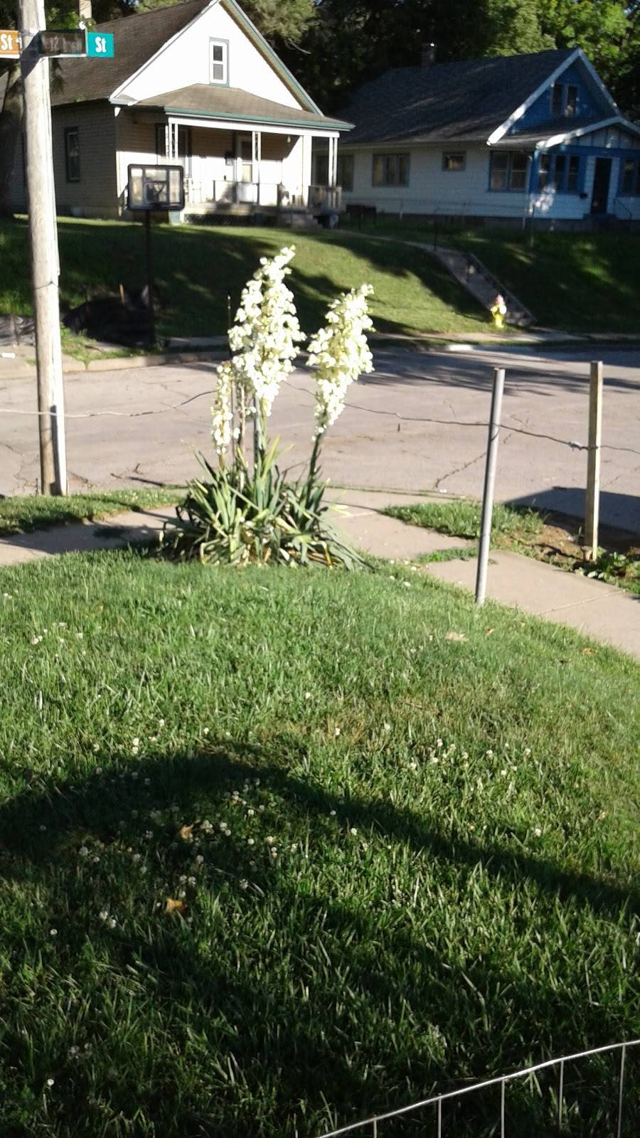 Jims Rib Haven | restaurant | 3801 Ames Ave, Omaha, NE 68111, USA | 4024518061 OR +1 402-451-8061