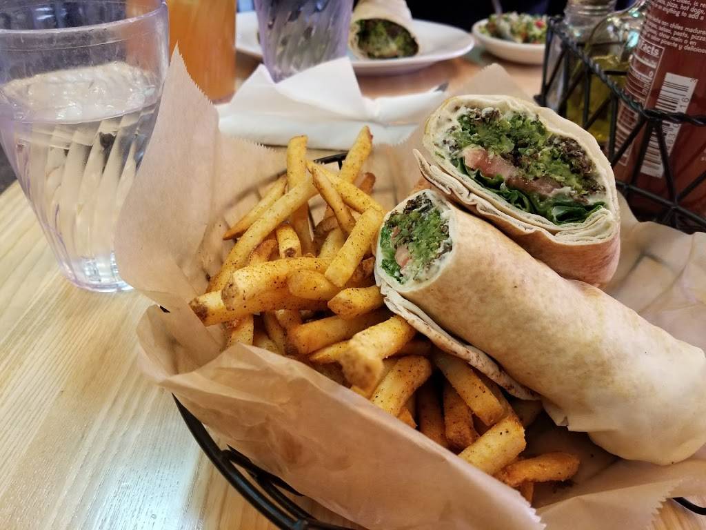 Jerusalem Garden | restaurant | 314 E Liberty St, Ann Arbor, MI 48104, USA | 7349955060 OR +1 734-995-5060