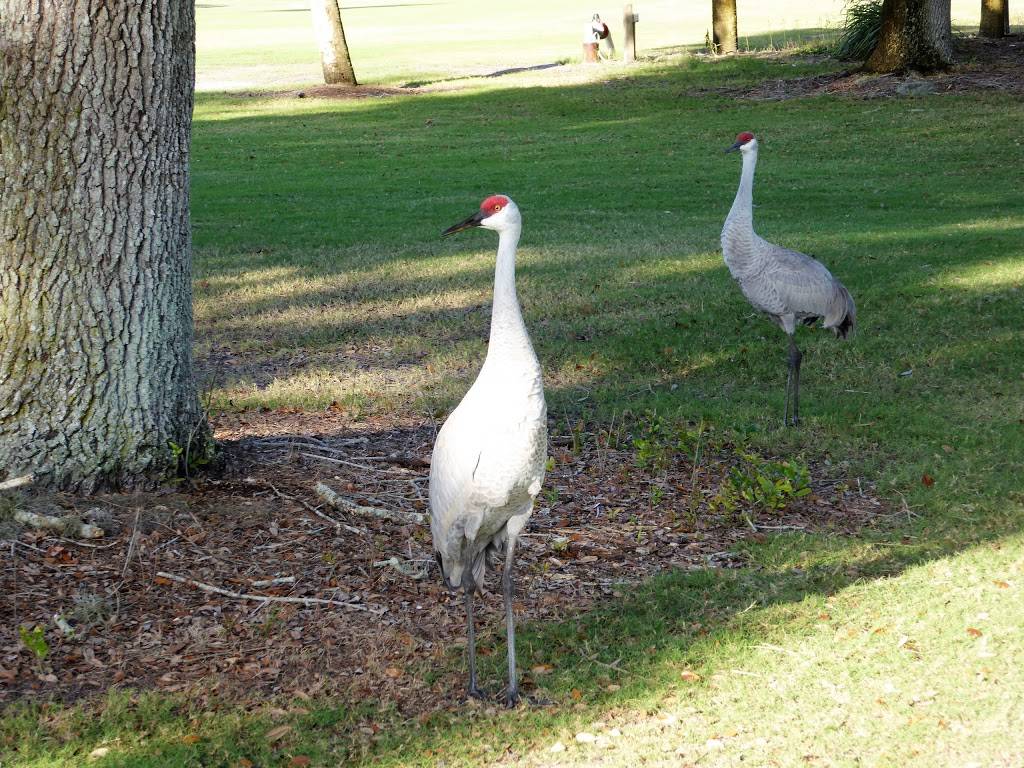 Boca Royale Golf & Country Club | restaurant | 1601 Englewood Rd, Englewood, FL 34223, USA | 9414756464 OR +1 941-475-6464