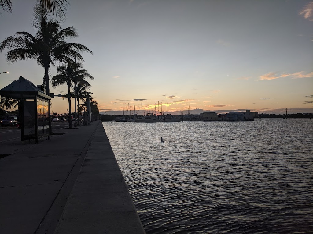 Veterans of Foreign Wars, Post 3911 | restaurant | 2200 N Roosevelt Blvd, Key West, FL 33040, USA | 3052949968 OR +1 305-294-9968