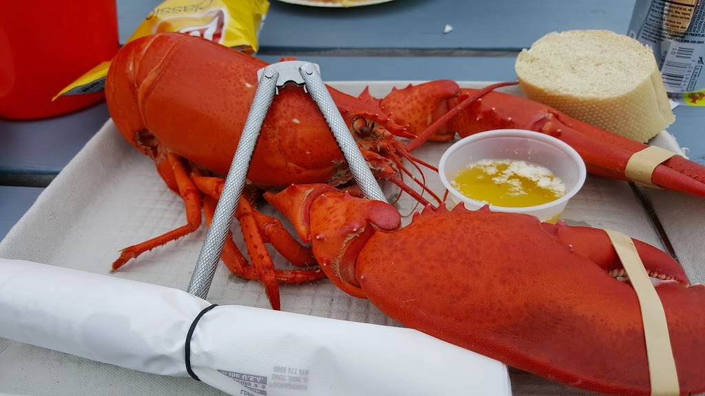 Watermans Beach Lobster | restaurant | 343 Waterman Beach Rd, South Thomaston, ME 04858, USA | 2075967819 OR +1 207-596-7819
