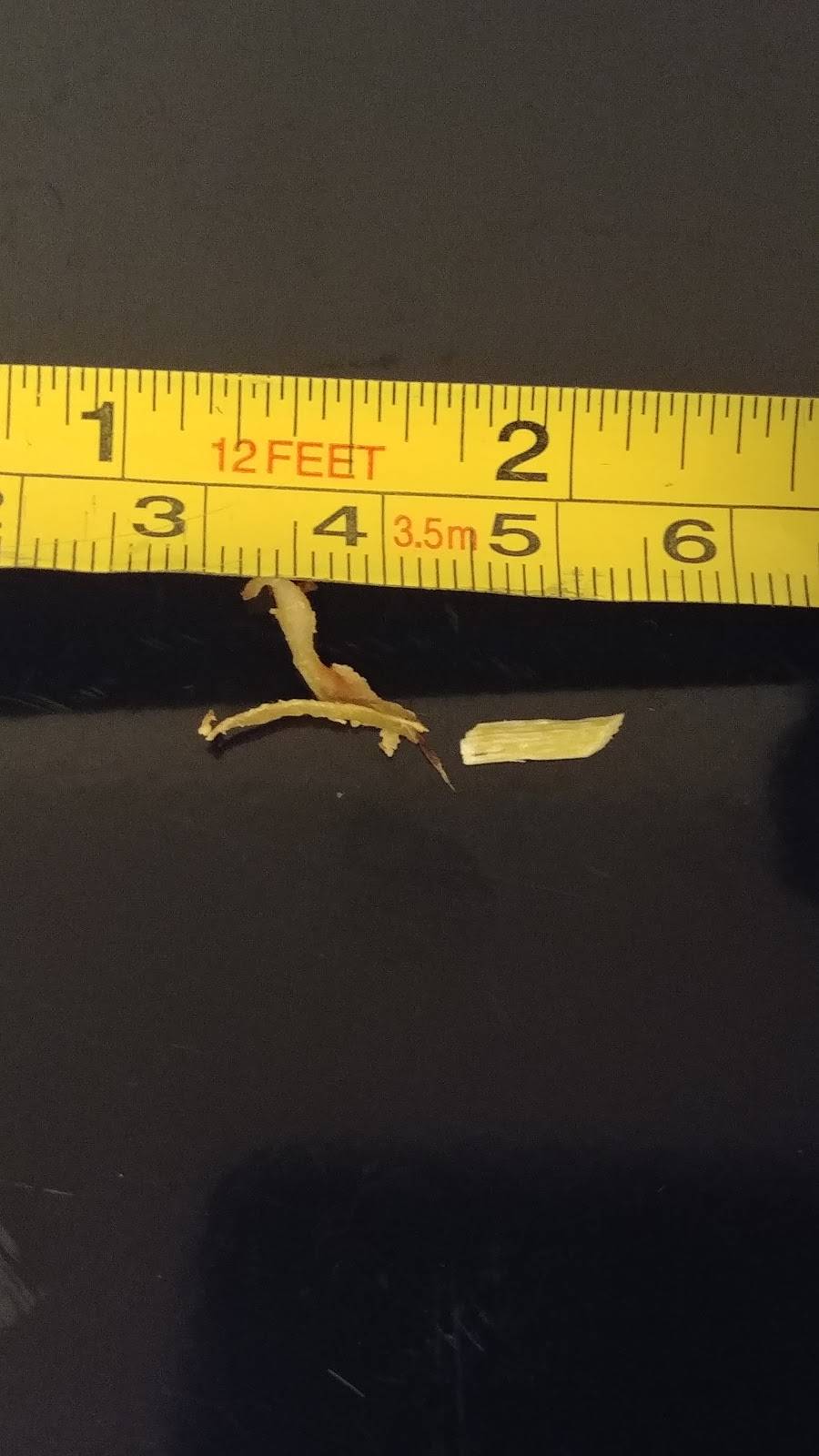 Dominos Pizza | meal delivery | 1717 Christy Dr, Jefferson City, MO 65101, USA | 5736348444 OR +1 573-634-8444