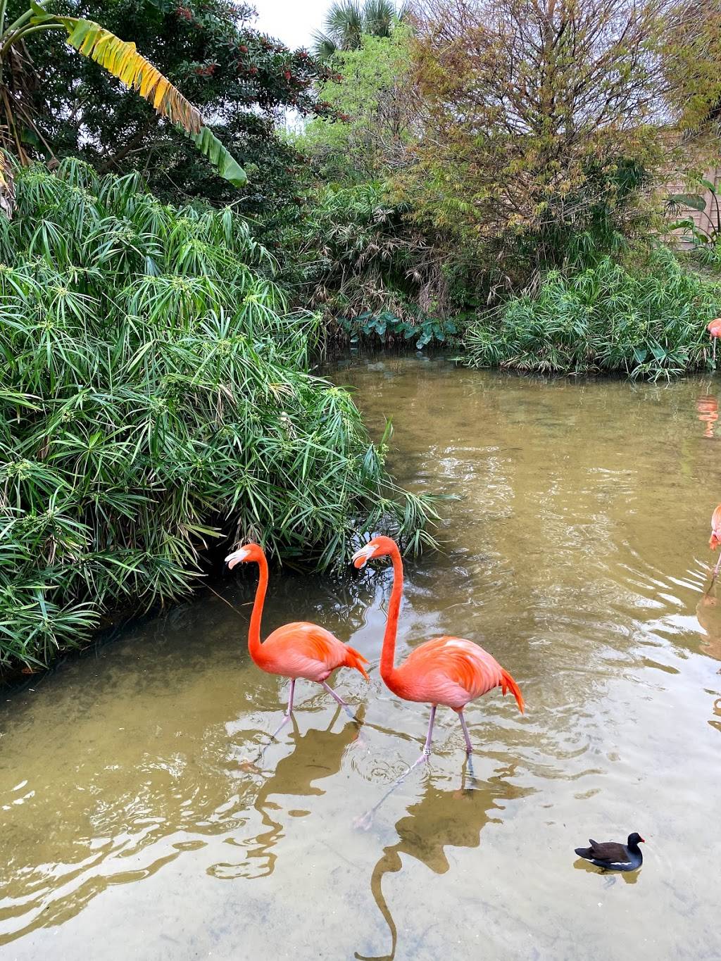 dukernukum hometown bufeh | restaurant | 6477 Answick Cir NW, Massillon, OH 44646, USA | 3302843056 OR +1 330-284-3056