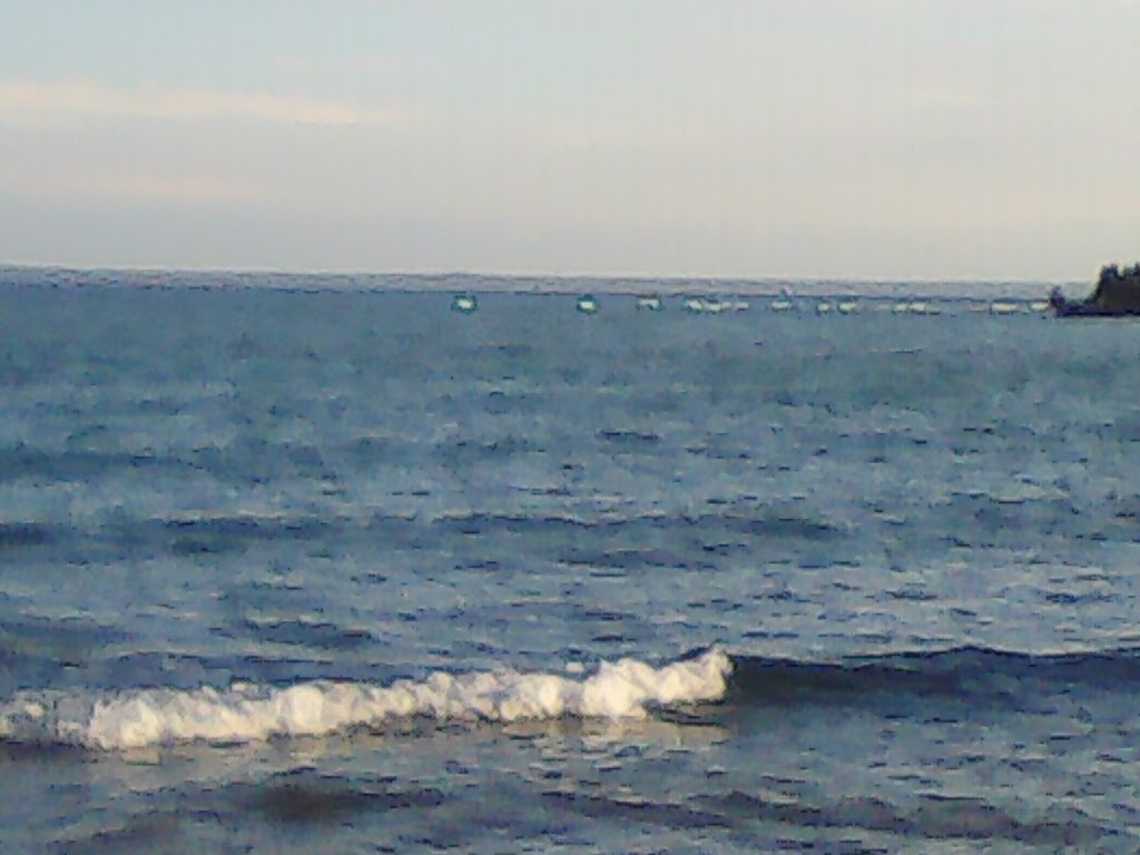 Island Diner | restaurant | Box 101 Hc 1, W Huron Dr, Bois Blanc Township, MI 49775, USA | 2316347375 OR +1 231-634-7375