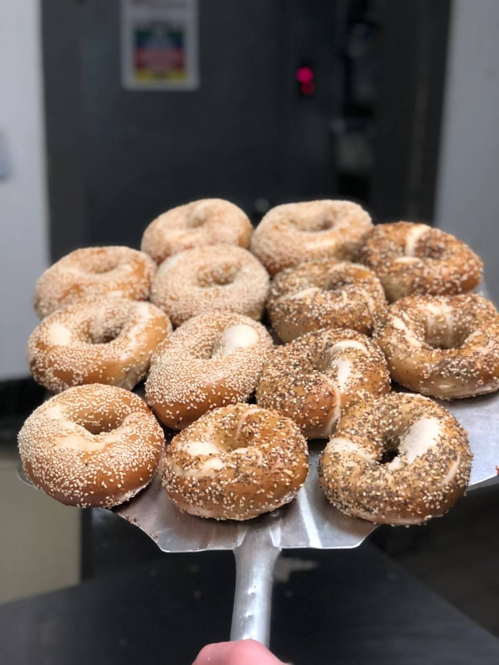 William Hoyt Bagel & Brew | restaurant | 1125 S 8th St, Waco, TX 76706, USA | 2544955504 OR +1 254-495-5504