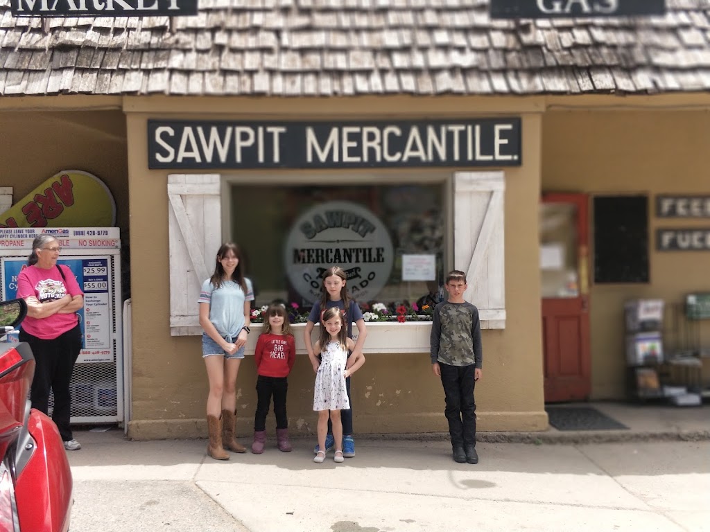 Sawpit Mercantile | restaurant | 20643 CO-145, Placerville, CO 81430, USA | 9707289898 OR +1 970-728-9898