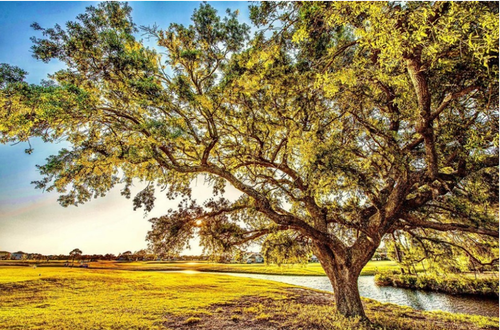 ThePointe | restaurant | 1255 Country Club Rd, Gulf Breeze, FL 32563, USA | 8507522522 OR +1 850-752-2522