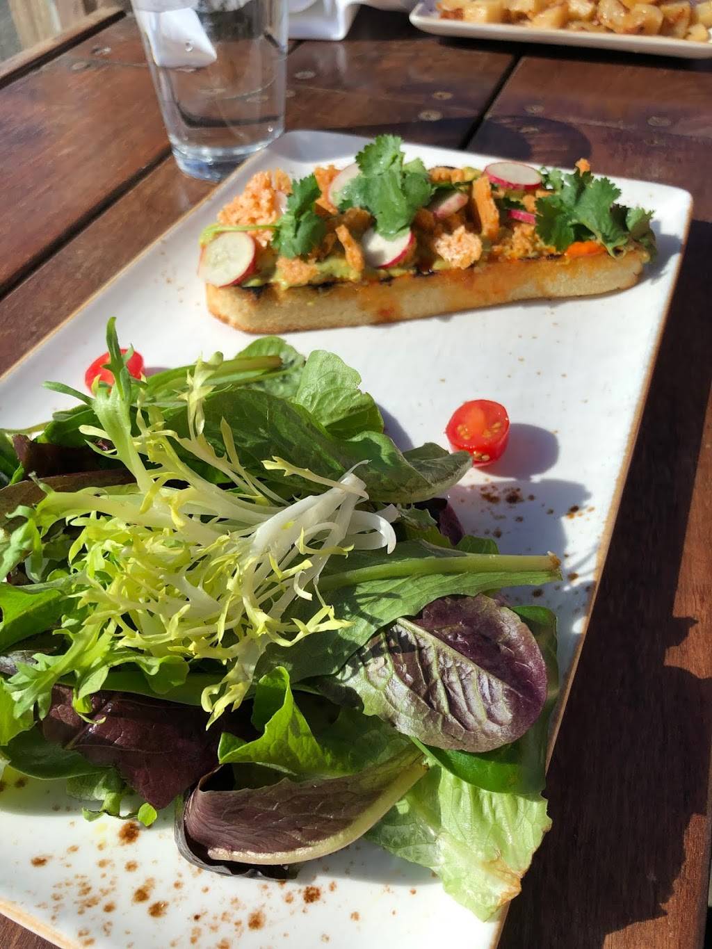 OB Surf Lodge | restaurant | 5083 Santa Monica Ave Suite 1F, San Diego, CA 92107, USA | 6199555475 OR +1 619-955-5475