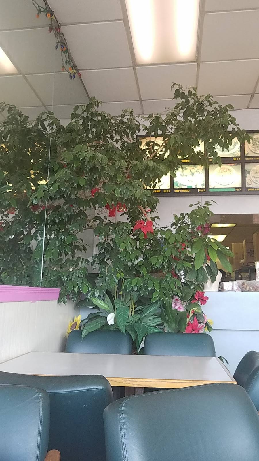 Young Chow | restaurant | 2421, 20 W Stroop Rd, Kettering, OH 45429, USA | 9372985672 OR +1 937-298-5672