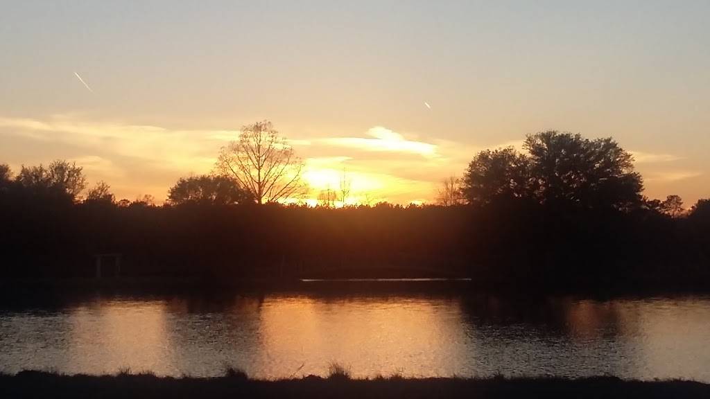 Country Diner | restaurant | 1504 Hwy 35 S, Foxworth, MS 39483, USA | 6017366019 OR +1 601-736-6019