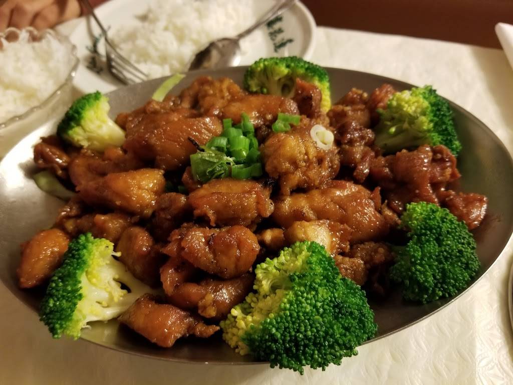 Dragon Light | restaurant | 3537 W 105th St, Cleveland, OH 44111, USA | 2162510504 OR +1 216-251-0504