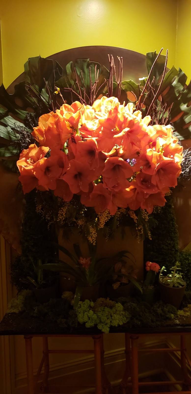 Thomas Henkelmann Restaurant | restaurant | 420, Field Point Rd, Greenwich, CT 06830, USA | 2038697500 OR +1 203-869-7500