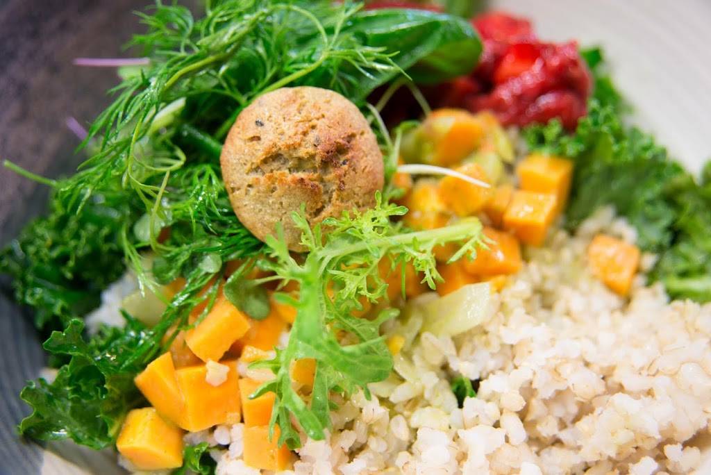 Kindly Kitchen | restaurant | 659 W King St #2, Boone, NC 28607, USA | 8283866005 OR +1 828-386-6005