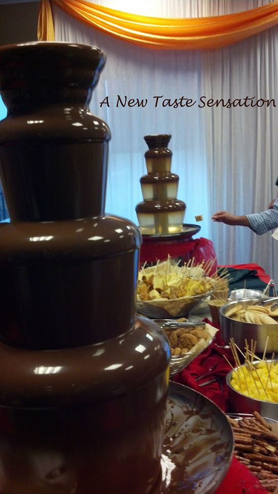 A New Taste Sensation Chocolate Fountains | restaurant | 225 S Broadway, Denver, CO 80209, USA | 7202050268 OR +1 720-205-0268