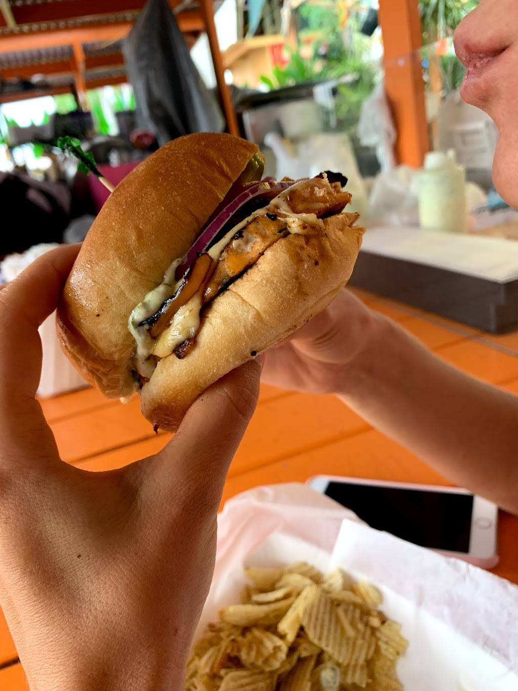 The Salmon Burger | restaurant | 1940 N 30th Rd, Hollywood, FL 33021, USA | 7866223805 OR +1 786-622-3805