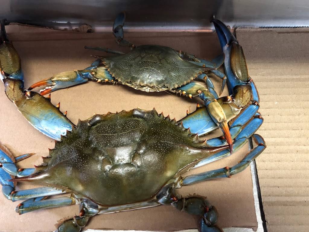 Flying Fish Seafood | restaurant | 2652 S 9th St, Philadelphia, PA 19148, USA | 2153395125 OR +1 215-339-5125