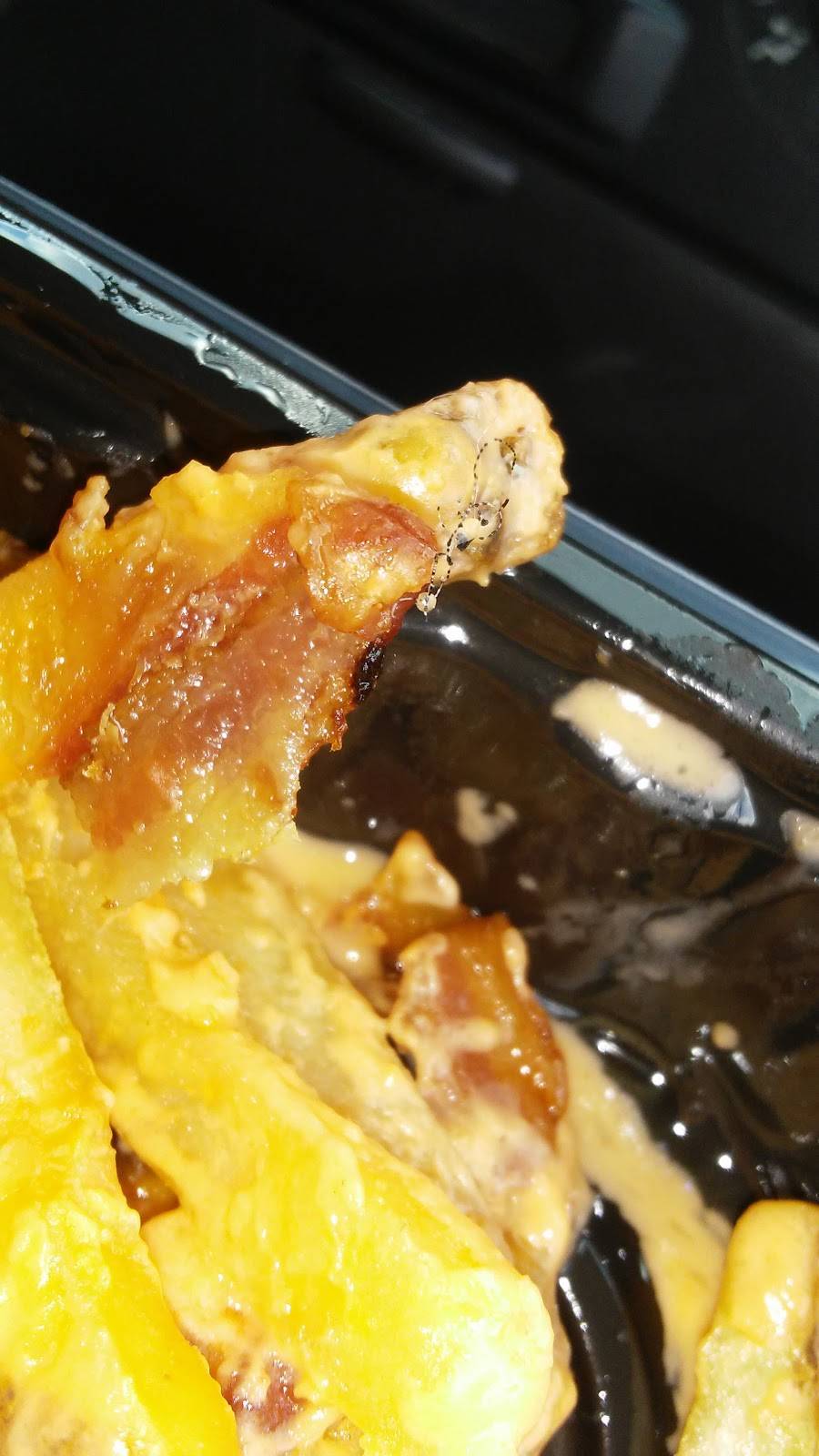 Wendys | restaurant | 7090A W Orem Dr, Houston, TX 77085, USA | 8325093890 OR +1 832-509-3890