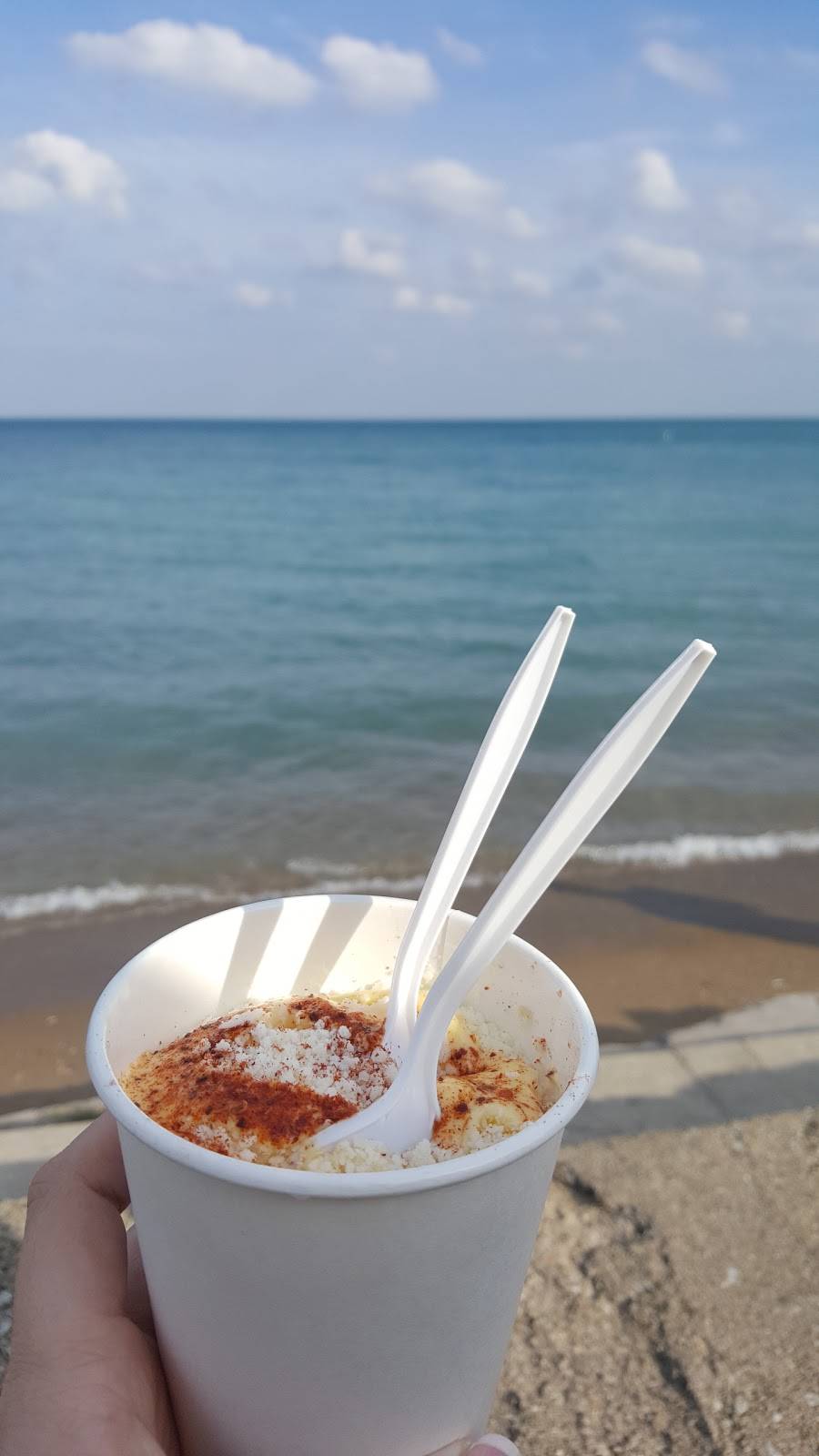 Del Campos Tacos | restaurant | 1300 S Linn White Dr, Chicago, IL 60605, USA | 7734575492 OR +1 773-457-5492