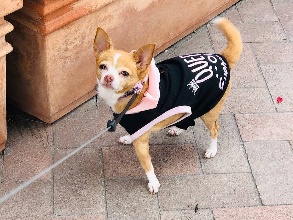 PetPoint Medical Center and Resort | restaurant | 2505 Da Vinci, Irvine, CA 92614, USA | 9495225700 OR +1 949-522-5700