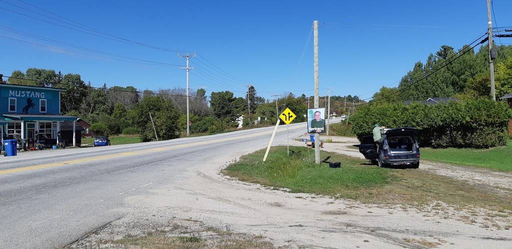 Dwaynes Pizza | restaurant | 356 Route 105, Low, QC J0X 2C0, Canada | 8192083632 OR +1 819-208-3632