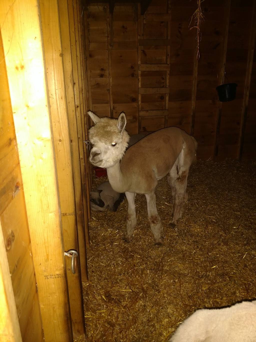 Frostys Dairy Bar |  | 1040 Main St, Waterboro, ME 04087, USA | 2072471261 OR +1 207-247-1261