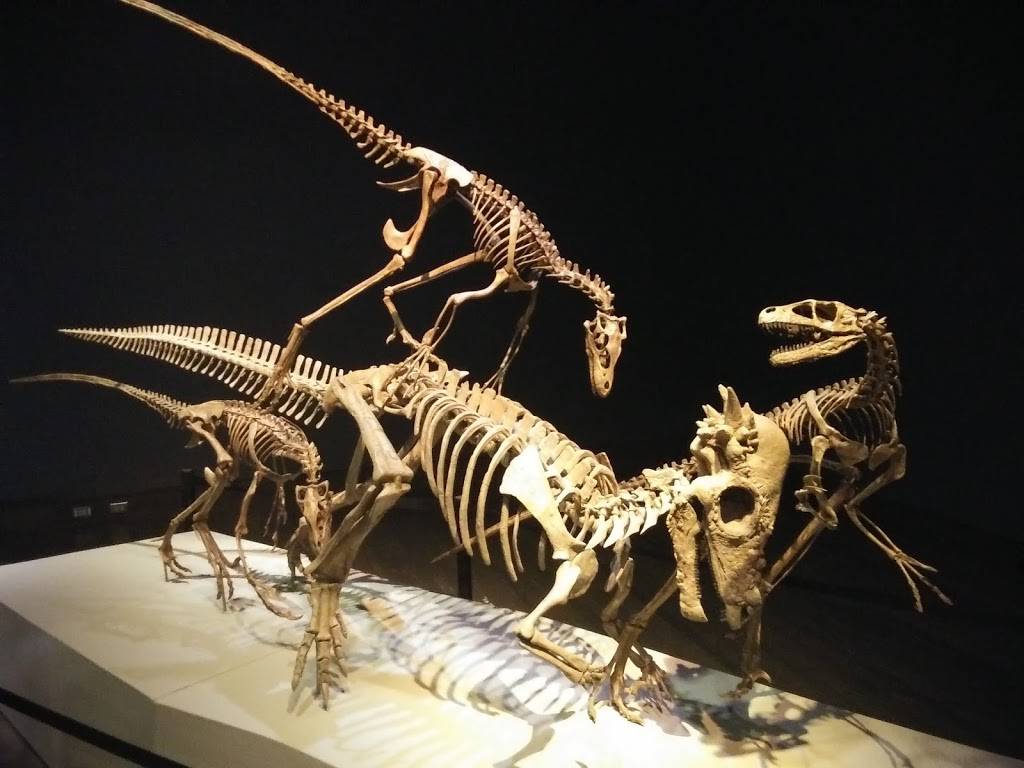 Prairiefire | shopping mall | 5661 W 135th St, Overland Park, KS 66223, USA | 9136475160 OR +1 913-647-5160